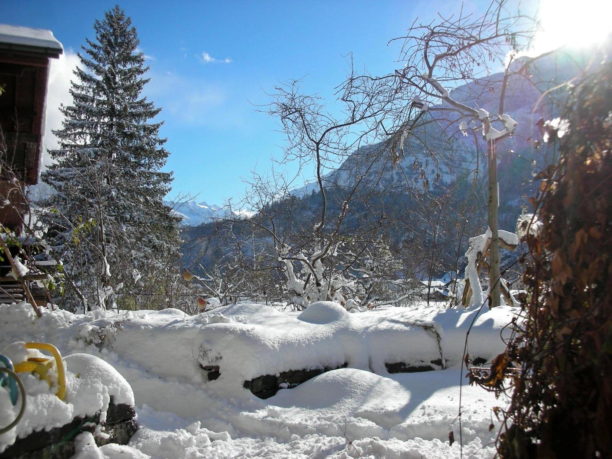 Dunkel Blaue Maus Bed and Breakfast Meiringen Εξωτερικό φωτογραφία