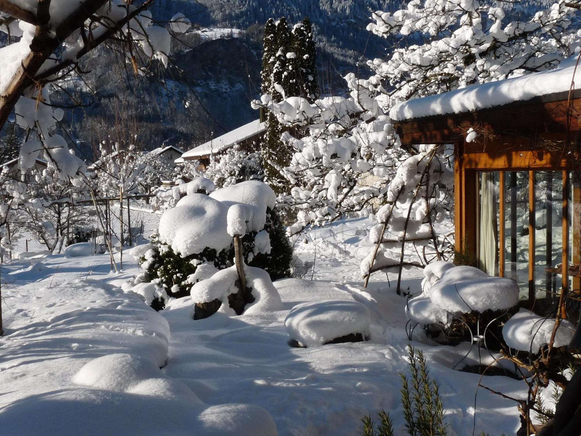 Dunkel Blaue Maus Bed and Breakfast Meiringen Εξωτερικό φωτογραφία
