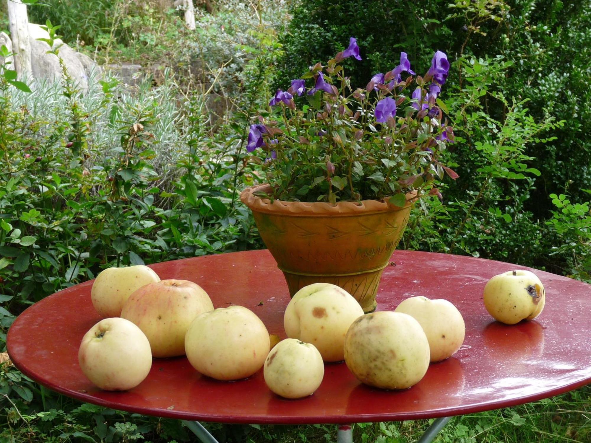 Dunkel Blaue Maus Bed and Breakfast Meiringen Εξωτερικό φωτογραφία