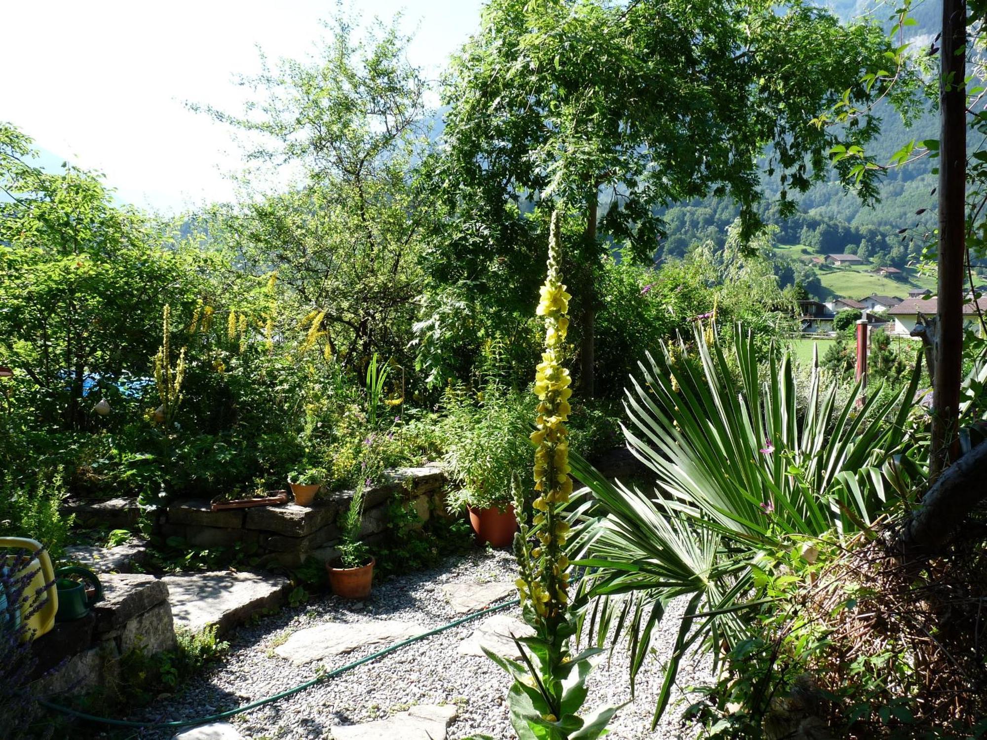 Dunkel Blaue Maus Bed and Breakfast Meiringen Εξωτερικό φωτογραφία