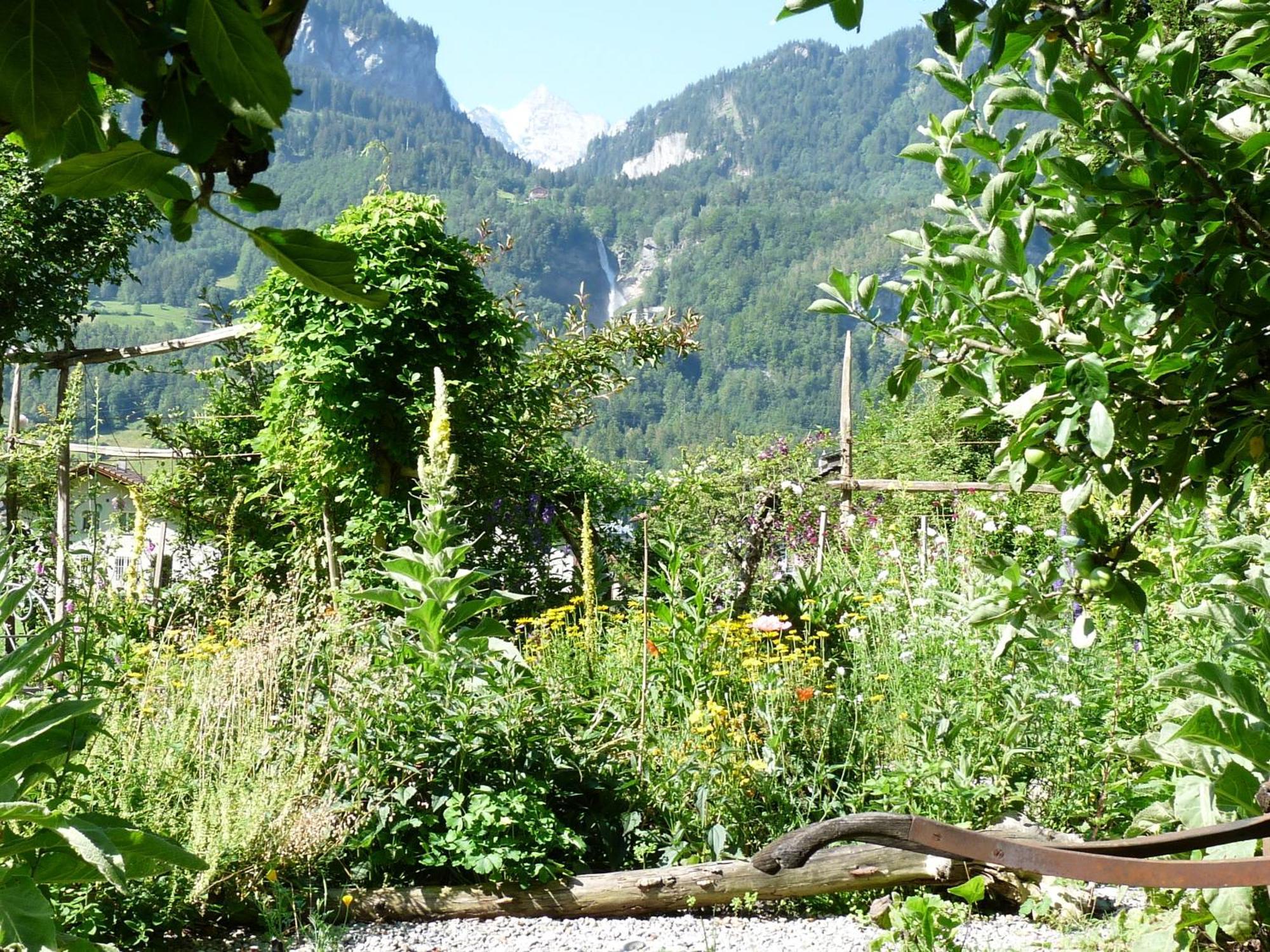 Dunkel Blaue Maus Bed and Breakfast Meiringen Εξωτερικό φωτογραφία