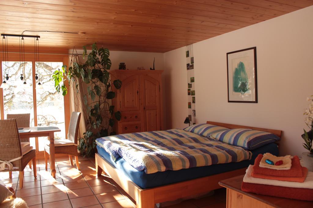 Dunkel Blaue Maus Bed and Breakfast Meiringen Εξωτερικό φωτογραφία